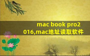 mac book pro2016,mac地址读取软件